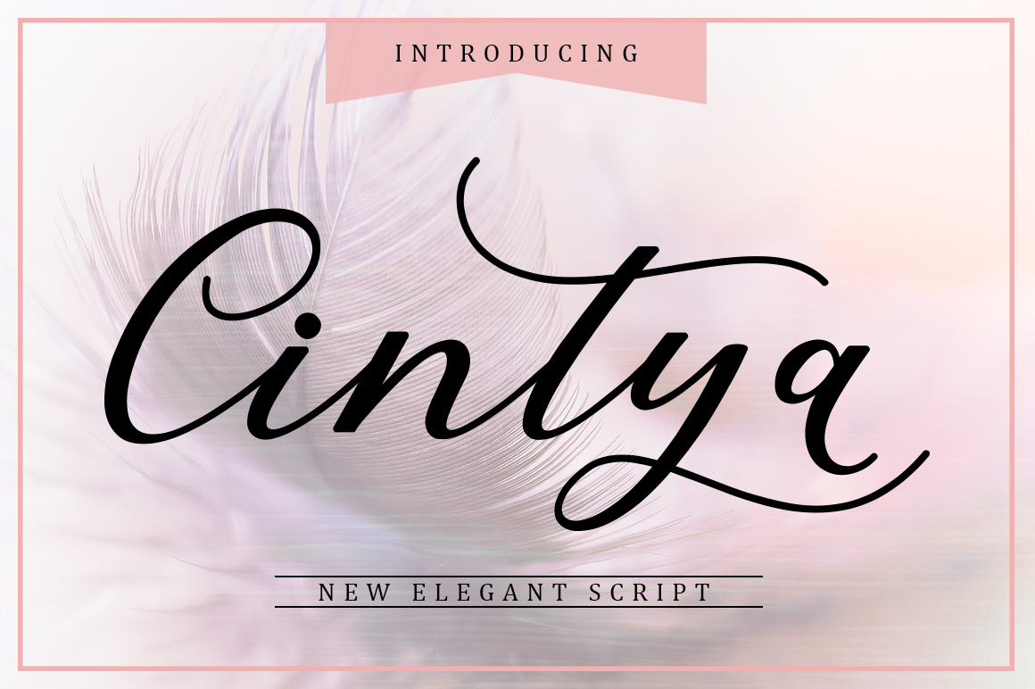 Cintya Font Review: A Modern Script for Designers