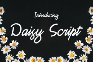 Daisy Script: A Feminine Script Font for Editorial Design