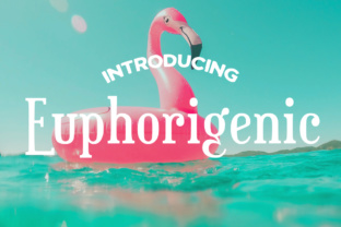 Euphorigenic: A Luxe Playful Font for Campaign Creativity