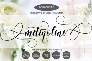 Metinoline Script for Small Business Branding and Design