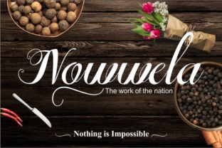 Nowwela: A Script Font for Luxury and Editorial Design