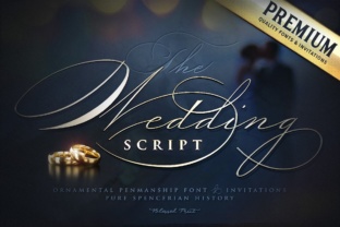 Wedding Script: A Timeless Font for Editorial Elegance